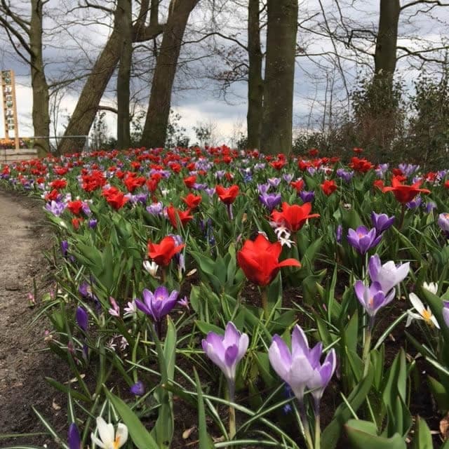 Venues Across Northern Ireland Making Good Use of Food & Garden Waste